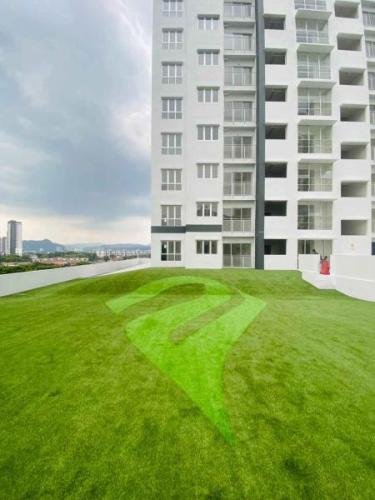 Platinum-Hill-PV-6-Setapak