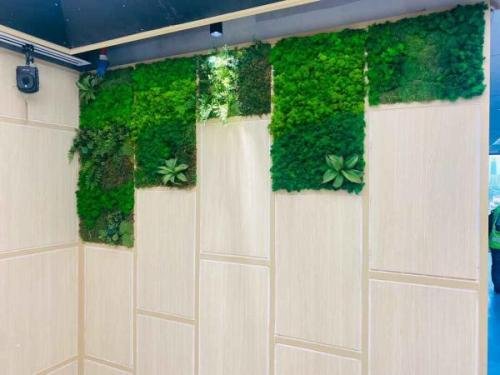 Preserved-moss.-MMC-Office-pavilion-damansara