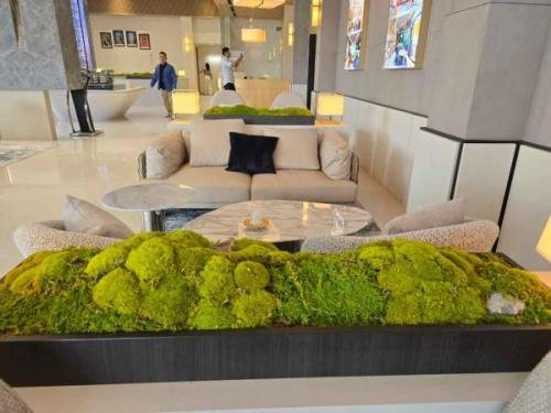 Preserved-moss.-bukit-senyum-sales-gallery